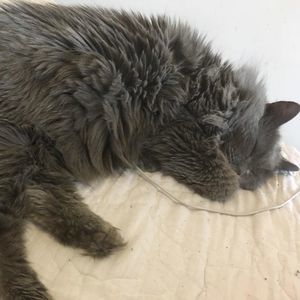 Meet your Posher, Kristie-dawn